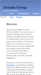 Mobile Screenshot of demitogroup.com